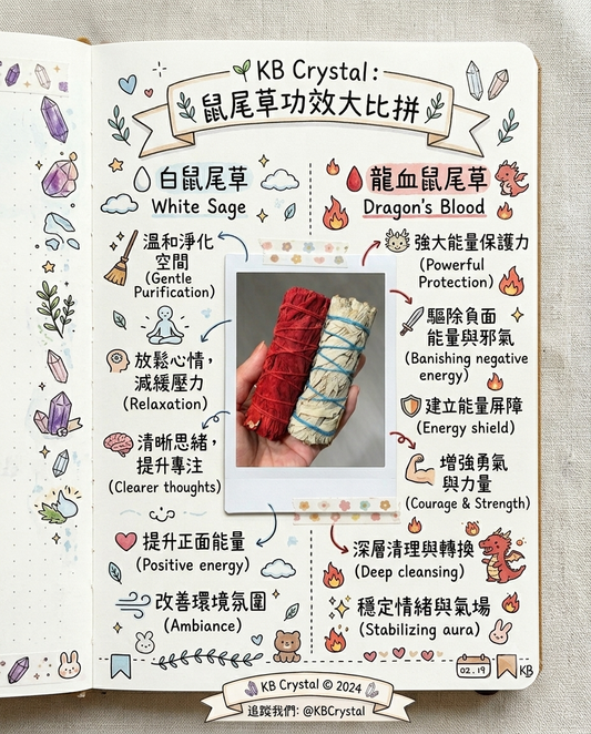 鼠尾草